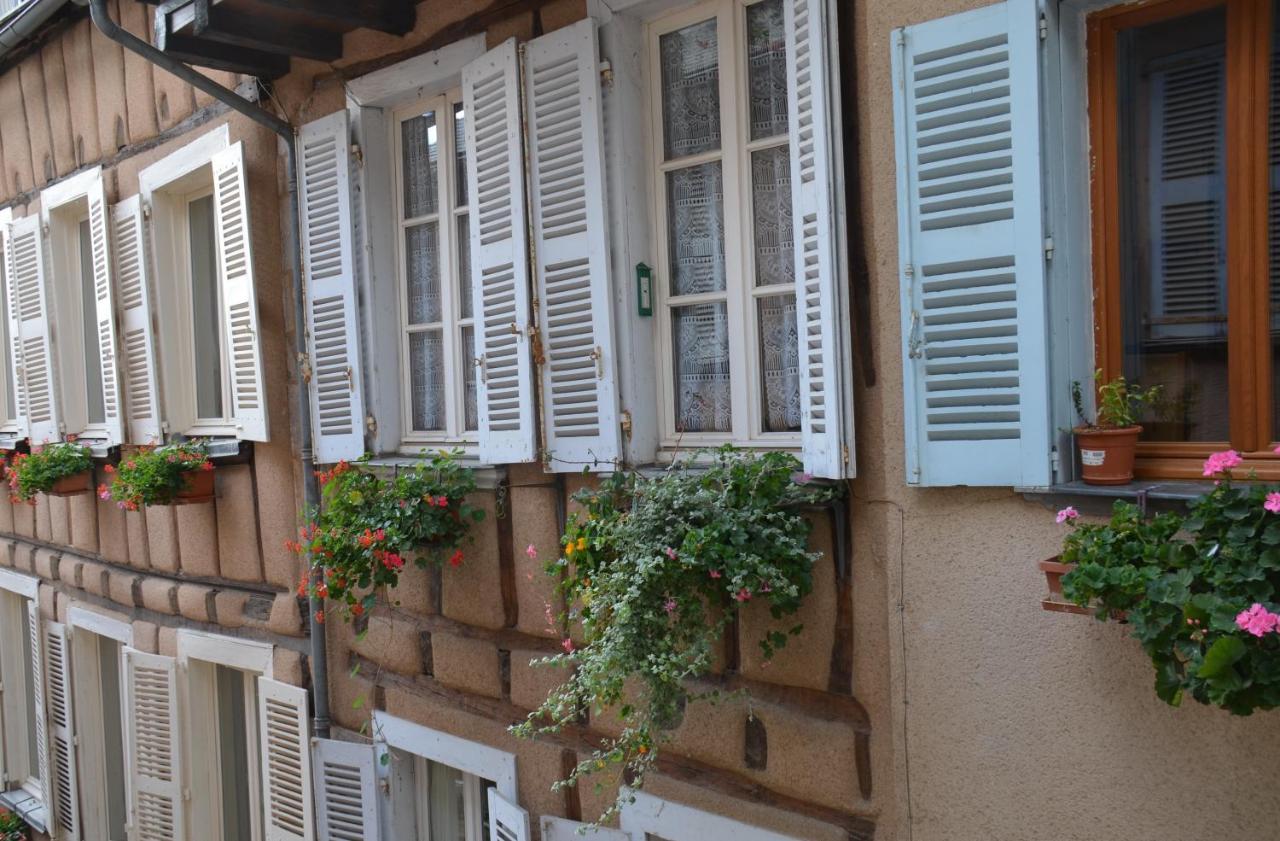 La Maison Bleue, Un Emplacement De Choix A Ροντέζ Εξωτερικό φωτογραφία